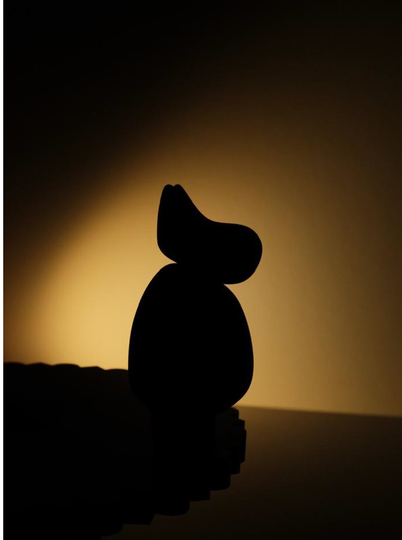 A wood D’HiPPO by Flitch & Grain in silhouette